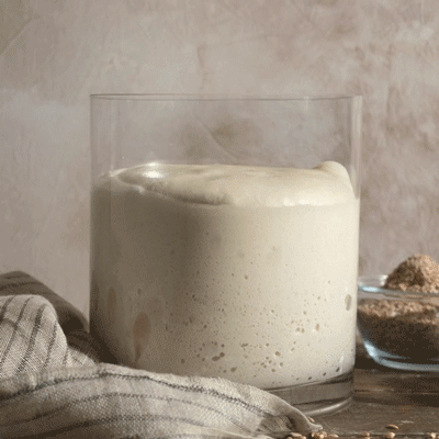 2. Lenta Lievitazione