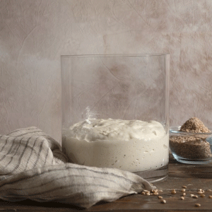 2. Lenta Lievitazione
