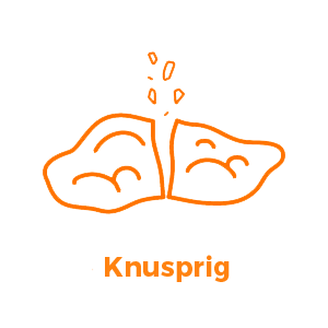 Pinsami, die knusprige Pinsa